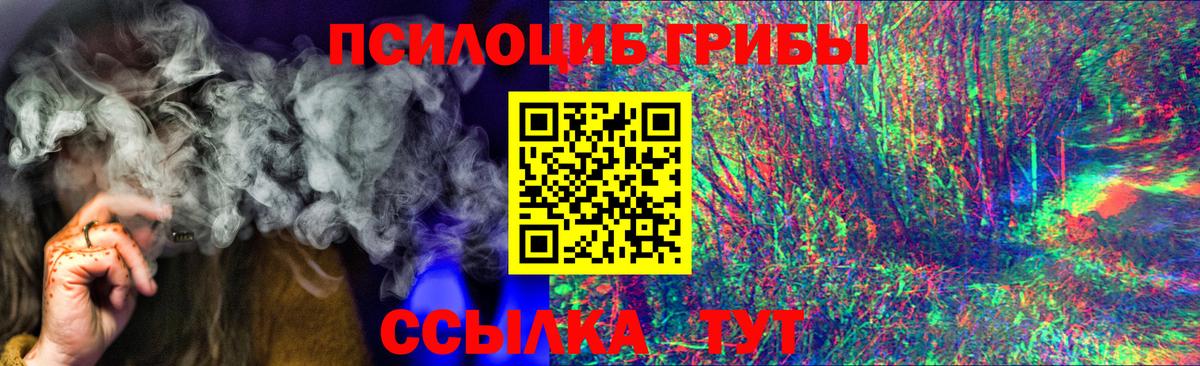 Галлюциногенные грибы MAGIC MUSHROOMS  Вход с VPN  Мыски 